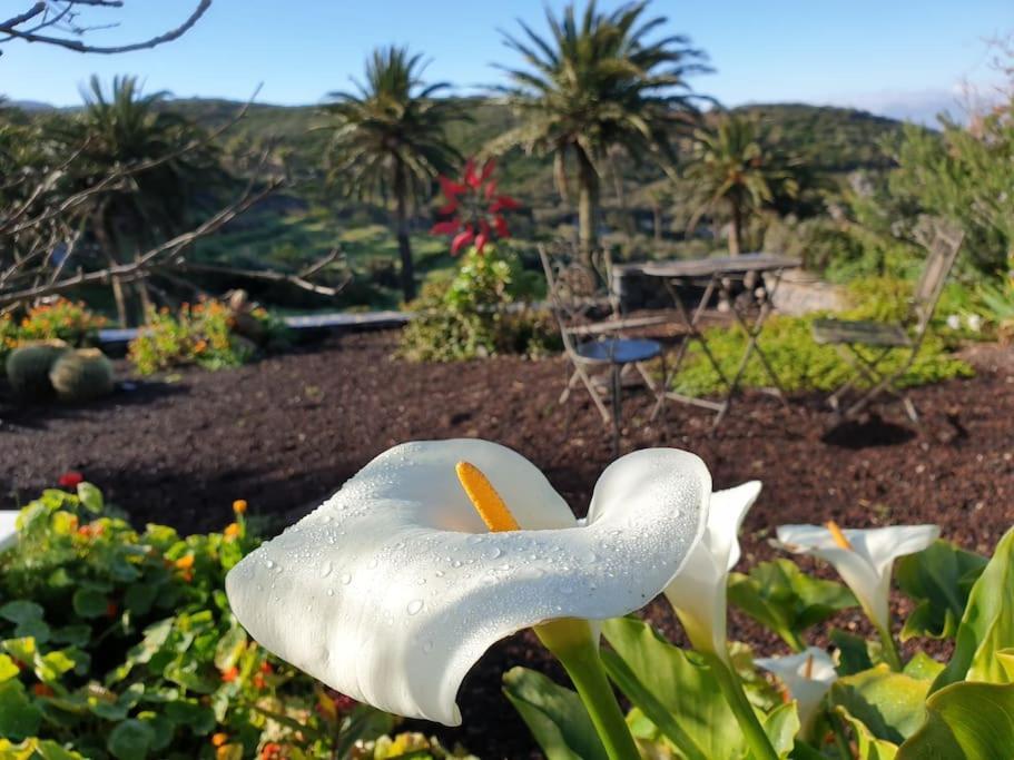 Casa Tara Ruhe Und Entspannung, Natur Pur Acardece Zewnętrze zdjęcie