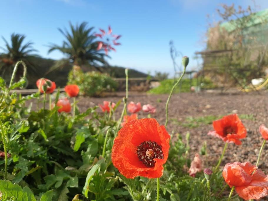 Casa Tara Ruhe Und Entspannung, Natur Pur Acardece Zewnętrze zdjęcie