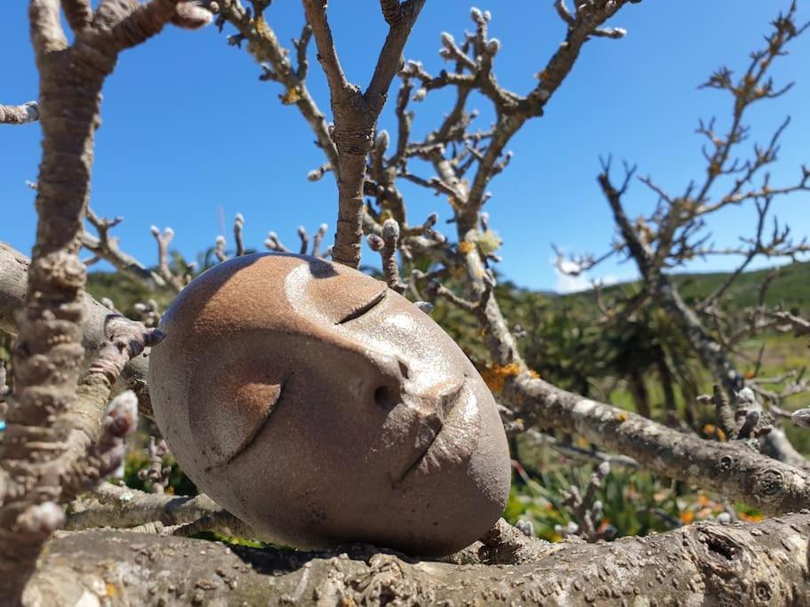 Casa Tara Ruhe Und Entspannung, Natur Pur Acardece Zewnętrze zdjęcie