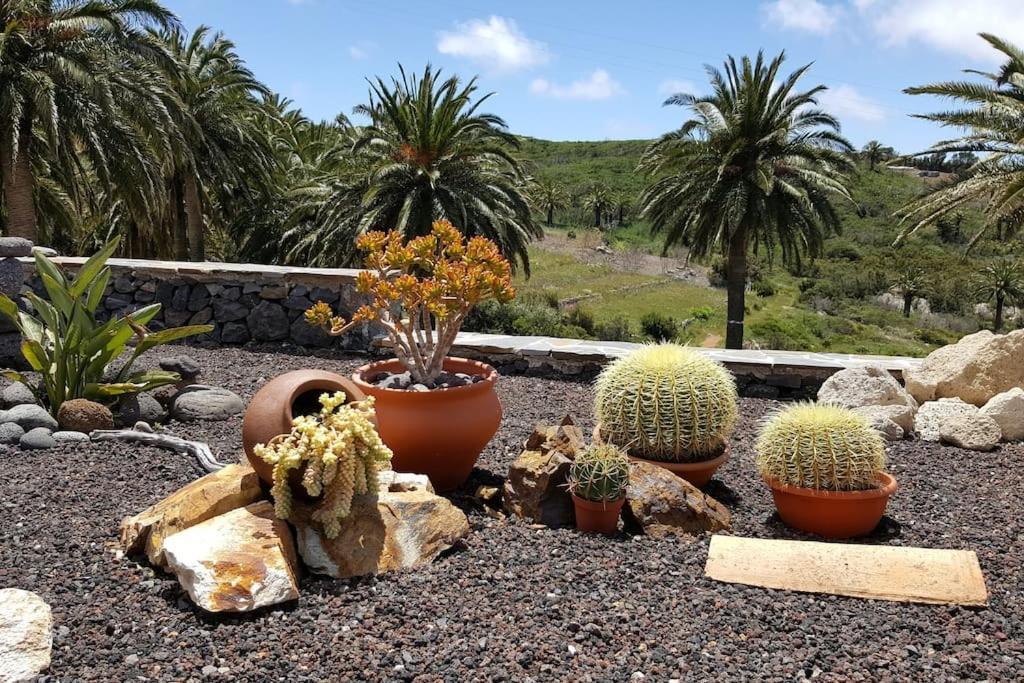 Casa Tara Ruhe Und Entspannung, Natur Pur Acardece Zewnętrze zdjęcie